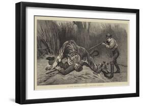 In the Bengal Jungle, a Critical Moment-John Charlton-Framed Giclee Print