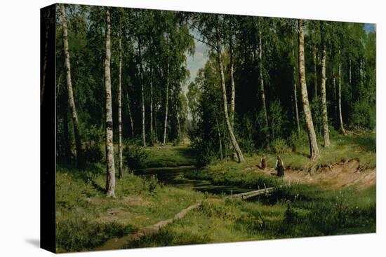 In the Birch Tree Forest, 1883-Ivan Ivanovitch Shishkin-Stretched Canvas