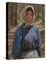 In the Bohmerwald, (Oil on Canvas)-Lilla Cabot Perry-Stretched Canvas