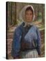 In the Bohmerwald, (Oil on Canvas)-Lilla Cabot Perry-Stretched Canvas