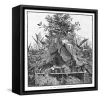 In the Botanical Gardens, 1886-null-Framed Stretched Canvas