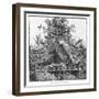 In the Botanical Gardens, 1886-null-Framed Giclee Print