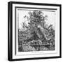 In the Botanical Gardens, 1886-null-Framed Giclee Print