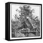 In the Botanical Gardens, 1886-null-Framed Stretched Canvas