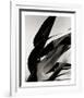 In the Breeze-Andrew Geiger-Framed Collectable Print