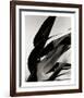 In the Breeze-Andrew Geiger-Framed Collectable Print