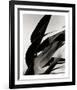 In the Breeze-Andrew Geiger-Framed Collectable Print