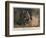 In the Camp of Bunzelwitz-Carl Rochling-Framed Giclee Print