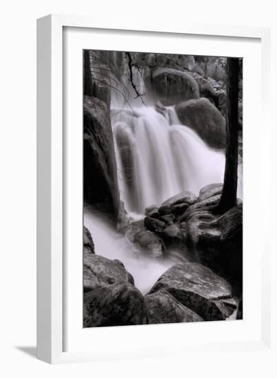 In the Cascades-Vincent James-Framed Photographic Print