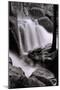 In the Cascades-Vincent James-Mounted Photographic Print