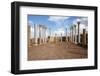 In the Central Basilica, Apollonia Cyrenaica, Libya, North Africa, Africa-Oliviero Olivieri-Framed Photographic Print