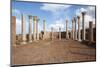 In the Central Basilica, Apollonia Cyrenaica, Libya, North Africa, Africa-Oliviero Olivieri-Mounted Photographic Print