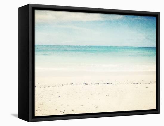 In the Clear-Lupen Grainne-Framed Stretched Canvas