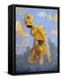 In the Clouds-Craig Snodgrass-Framed Stretched Canvas