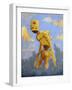 In the Clouds-Craig Snodgrass-Framed Giclee Print