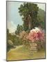 'In The Colonna Gardens', c1900 (1902)-Rosa Wallis-Mounted Giclee Print