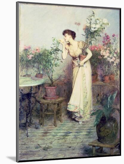 In the Conservatory, 1894-William Quiller Orchardson-Mounted Giclee Print