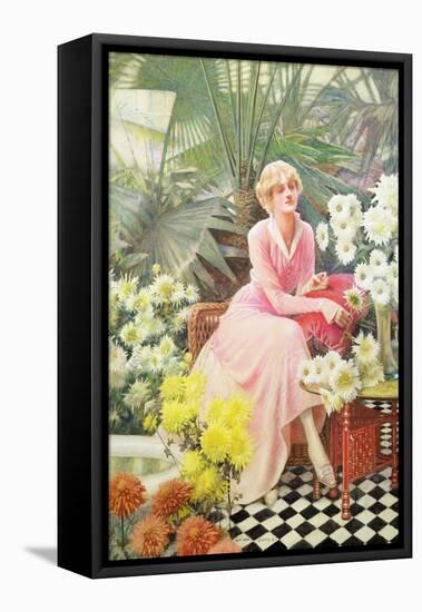 In the Conservatory, C.1920 (W/C on Paper)-Lucien Davis-Framed Stretched Canvas
