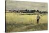 In the Cornfields at Gennevilliers, c.1875-Berthe Morisot-Stretched Canvas