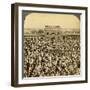 In the Court of the Jumma Mosque During the Annual Fast, Delhi, India-Underwood & Underwood-Framed Photographic Print