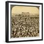 In the Court of the Jumma Mosque During the Annual Fast, Delhi, India-Underwood & Underwood-Framed Photographic Print