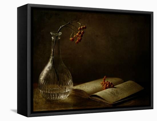 In the Dark of My Days-Delphine Devos-Framed Stretched Canvas