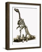 In the Days of the Dinosaurs: A Hundred Million Year Old Mystery-Roger Payne-Framed Giclee Print