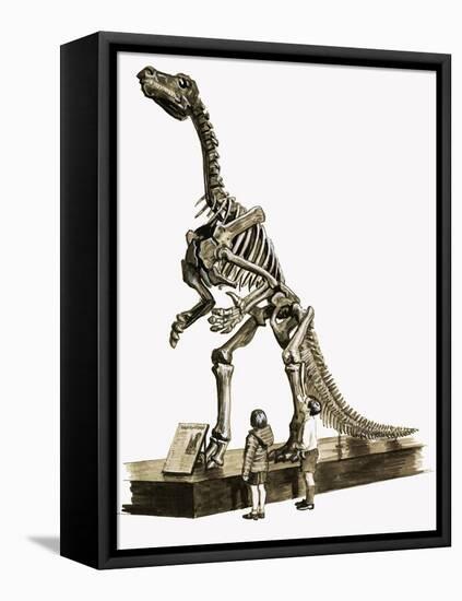 In the Days of the Dinosaurs: A Hundred Million Year Old Mystery-Roger Payne-Framed Stretched Canvas