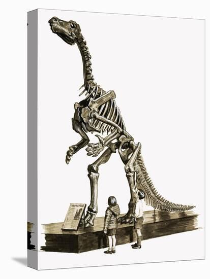 In the Days of the Dinosaurs: A Hundred Million Year Old Mystery-Roger Payne-Stretched Canvas