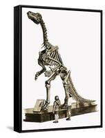 In the Days of the Dinosaurs: A Hundred Million Year Old Mystery-Roger Payne-Framed Stretched Canvas