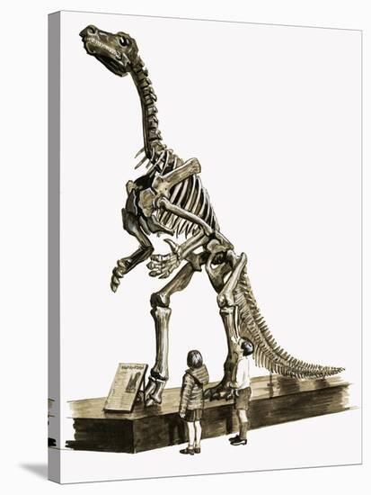 In the Days of the Dinosaurs: A Hundred Million Year Old Mystery-Roger Payne-Stretched Canvas