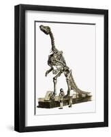 In the Days of the Dinosaurs: A Hundred Million Year Old Mystery-Roger Payne-Framed Giclee Print