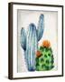 In the Desert 1-Kimberly Allen-Framed Art Print