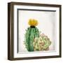 In The Desert 2-Kimberly Allen-Framed Art Print