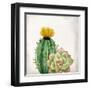 In The Desert 2-Kimberly Allen-Framed Art Print