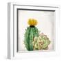 In The Desert 2-Kimberly Allen-Framed Art Print