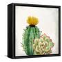 In The Desert 2-Kimberly Allen-Framed Stretched Canvas