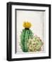 In the Desert 2-Kimberly Allen-Framed Art Print