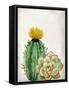 In the Desert 2-Kimberly Allen-Framed Stretched Canvas