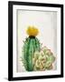 In the Desert 2-Kimberly Allen-Framed Art Print