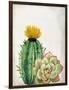 In the Desert 2-Kimberly Allen-Framed Art Print