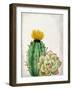 In the Desert 2-Kimberly Allen-Framed Art Print