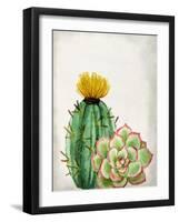 In the Desert 2-Kimberly Allen-Framed Art Print