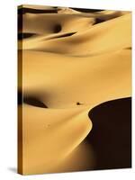 In the Dunes 1-Design Fabrikken-Stretched Canvas