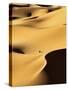 In the Dunes 1-Design Fabrikken-Stretched Canvas