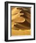 In the Dunes 2-Design Fabrikken-Framed Photographic Print