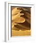 In the Dunes 2-Design Fabrikken-Framed Photographic Print