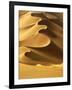 In the Dunes 2-Design Fabrikken-Framed Photographic Print