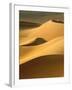 In the Dunes 3-Design Fabrikken-Framed Photographic Print