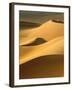 In the Dunes 3-Design Fabrikken-Framed Photographic Print